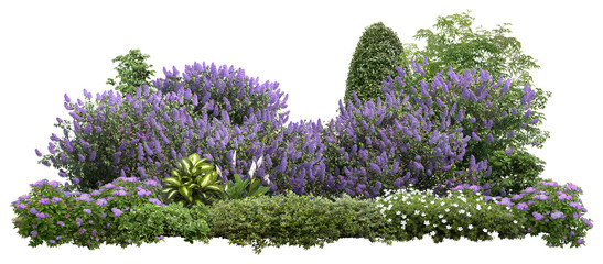 Transparent Background Photos Royalty Free Images Graphics