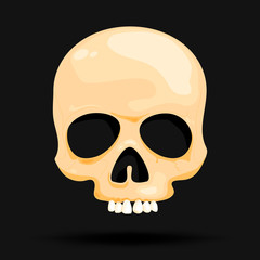 vector illustration of a skull