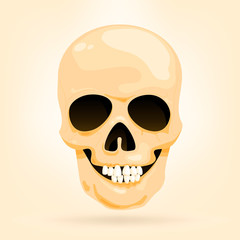 vector illustration of a skull