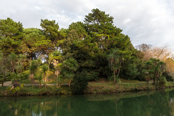 landscape with a pond in a southern park
