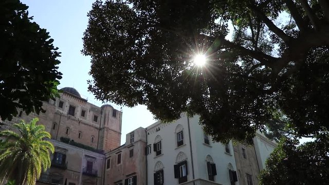 Giardino Reale del Palazzo dei Normanni a Palermo, Sicilia
