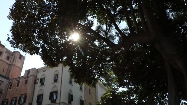 Palazzo dei Normanni vista dai Giardini Reali, Palermo