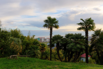 Obraz premium evening landscape in the park