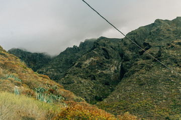 Postcard from Tenerife