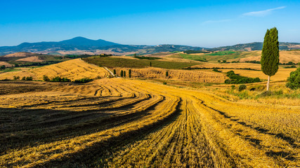 Fototapeta na wymiar Landscape with fields in Tuscany, Italy, Summer