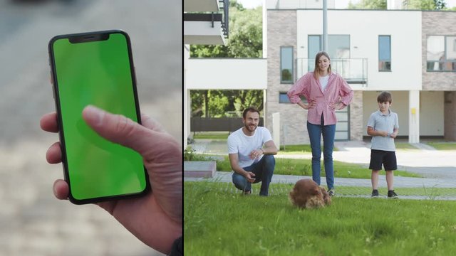 Footage for animation, logo, final shot. Multiscreen footage, left part - hand man use phone with green vertical screen on street at sunset, right part - family play with dog outdoors. Slow motion