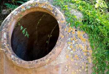 Old big ceramic pot, jug in overgrown old park.Ivy plants around.