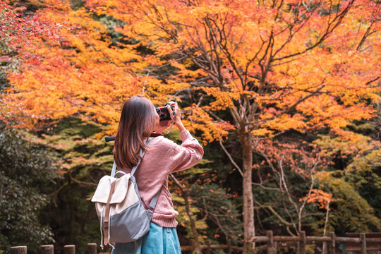 Young woman traveler taking a picture of beautiful nature in autumn season, Travel lifestyle concept