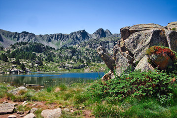 Natural landscape in the mountains of Andorra, Europe - obrazy, fototapety, plakaty