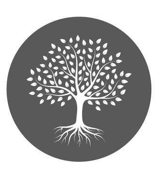 Silhouette of a tree with roots and leaves in circle. White color on gray background. Vector illustration logo.