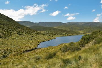 Fototapeta na wymiar Lake in the high altitude moorland of Mount Kenya, Lake Ellis in Chogoria Route, Mount Kenya National Park 