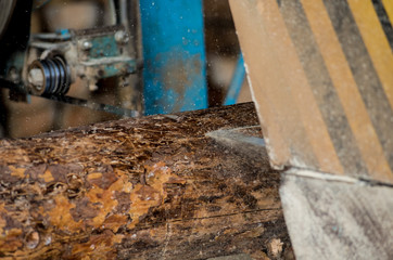 Modern sawmill. Industry sawing boards from logs