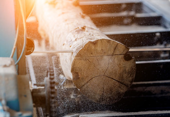 Modern sawmill. Industry sawing boards from logs