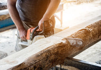 Woodcutter cutting tree with chainsaw on sawmill. Modern sawmill. Industry sawing boards from logs.