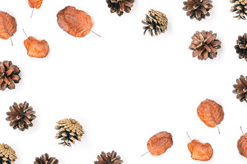 Pine cones and dry red leaves on a white background. Autumn composition, fall. Natural background. Copy space