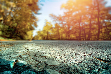 Autumn background and free space for your decoration. 