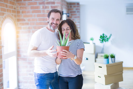 Middle age senior romantic couple holding aloe vera plant smiling happy for moving to a new house