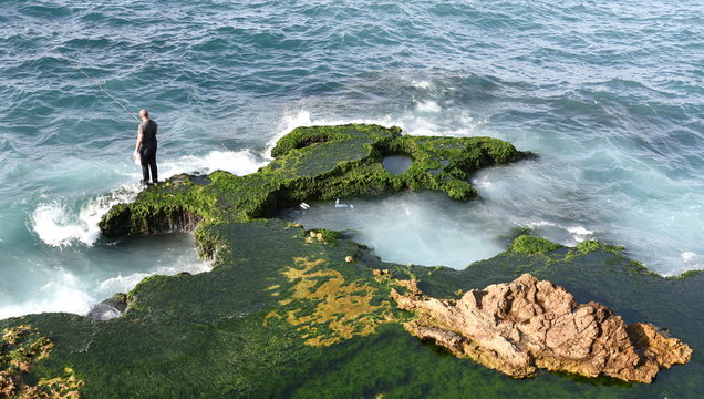 Einsamer Angler auf einem Felsen an der Lavantek&uuml;ste