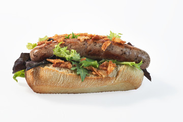 Delicious German style sausage on bread with lettuce and onion, front view