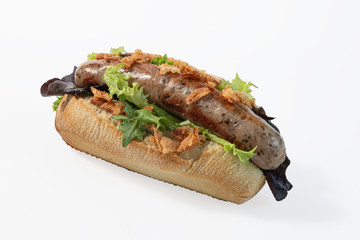 Delicious German style sausage on bread with lettuce and onion, side view