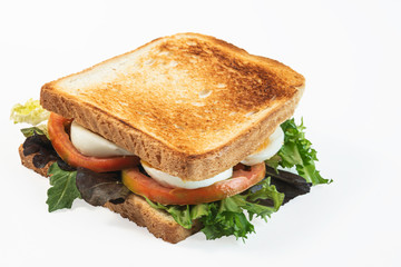 Egg sandwich with tomato and lettuce