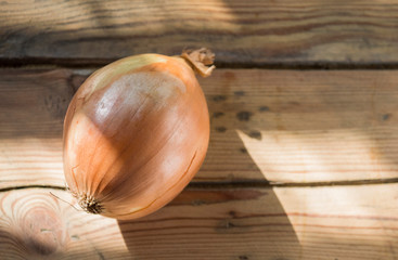 onion on wooden background, closeup