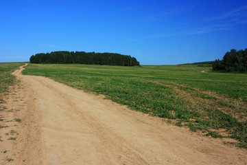 Fototapeta na wymiar Country dirt road in the steppe