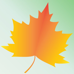 Maple leaves colorful flat vector icon. Autumn background, cutout paper frame of yellow maple leave.