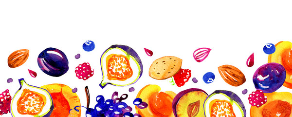 Hand drawn watercolor fruits on the bottom of the page. Illustration with plums, apricots, berries and nuts