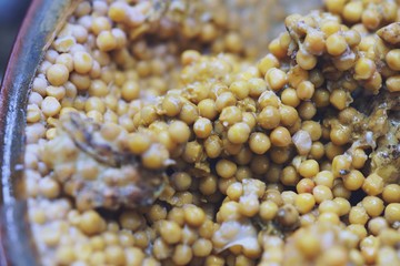 Close up of Horseshoe crab and shell in ice bucket. In seafood market in thailand