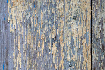 natural wood boards with beautiful texture. Barn wood wall with old, natural, rough boards.