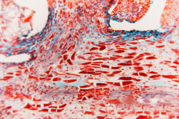 Cell abstract flower