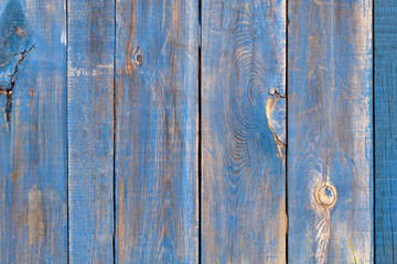 The old blue wood texture with natural patterns. Wooden boards, boards are old with a beautiful branch pattern, style