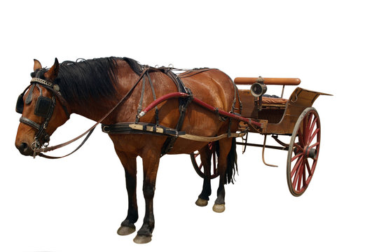 LE CHEVAL ET SA CARRIOLE ref 4083