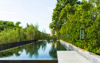 Swimming pool with green trees at home