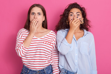Close up portrait of pretty brunette girls, best friends or sisters, wearing casual clothing, having surprised emotions, close mouth by hands, looking something shocking, isolated over rosy background