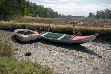 Two boats in the mud