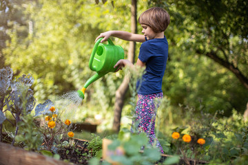 Cute little girl enjoy gardening in urban community garden © pikselstock