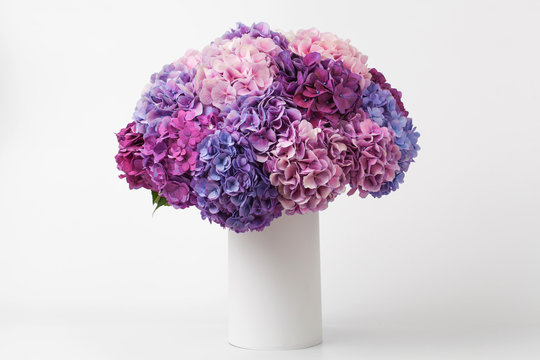 Hydrangea Bouquet On A White Background