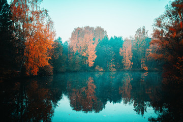 Photo of autumn trees and pond