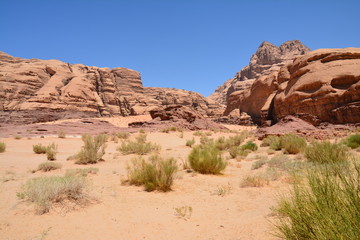 Fototapeta na wymiar Désert Wadi Rum Jordanie