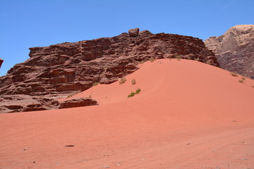 Désert Wadi Rum Jordanie