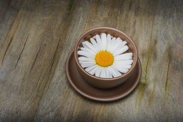 Chamomile- medicinal drink