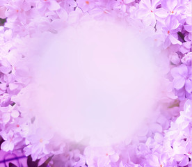 Background of pastel lilac flowers. Wedding or holiday greeting design with copy space.
