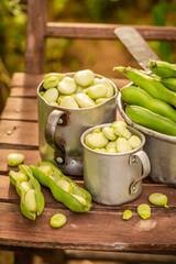 Freshly harvested broad beans on old wooden chair