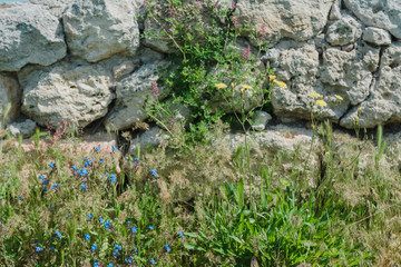 Landscape background- aged architecture