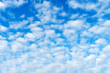 Naklejka na ściany i meble Blue sky with white heap clouds. Day summer sunny.