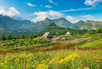 Mountain landscape, Tatra mountains panorama, Poland colorful flowers and cottages in Gasienicowa valley (Hala Gasienicowa), summer