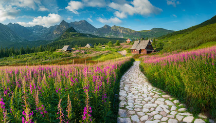 mountain landscape, Tatra mountains panorama, Poland colorful flowers and cottages in Gasienicowa valley (Hala Gasienicowa), summer