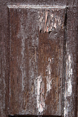 Old oil paint peeling away from wood darl brown surface. Texture of old paint wood